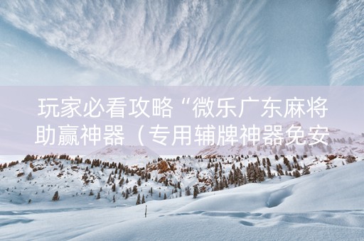 玩家必看攻略“微乐广东麻将助赢神器（专用辅牌神器免安装）