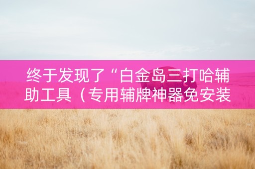 终于发现了“白金岛三打哈辅助工具（专用辅牌神器免安装）