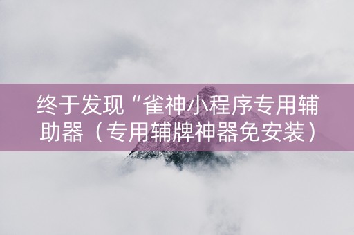 终于发现“雀神小程序专用辅助器（专用辅牌神器免安装）
