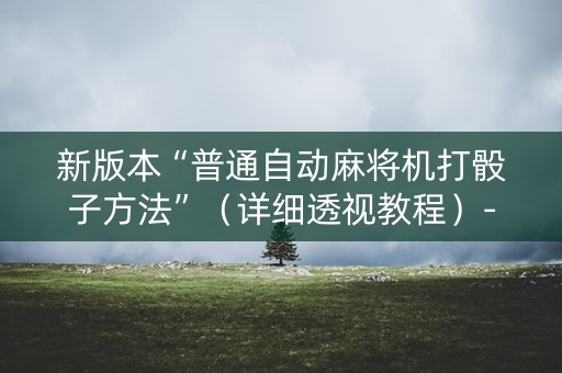 新版本“普通自动麻将机打骰子方法”（详细透视教程）-哔哩哔哩