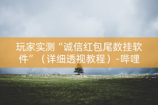 玩家实测“诚信红包尾数挂软件”（详细透视教程）-哔哩哔哩