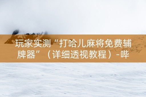 玩家实测“打哈儿麻将免费辅牌器”（详细透视教程）-哔哩哔哩