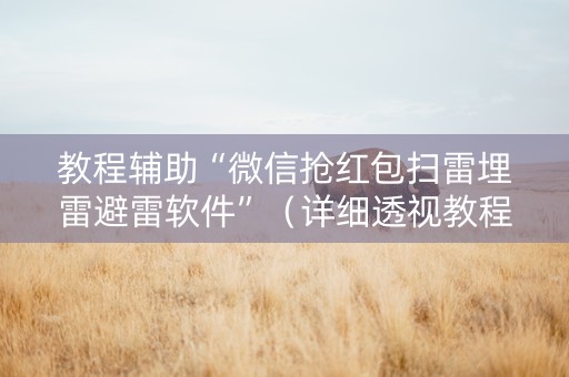 教程辅助“微信抢红包扫雷埋雷避雷软件”（详细透视教程）-哔哩哔哩