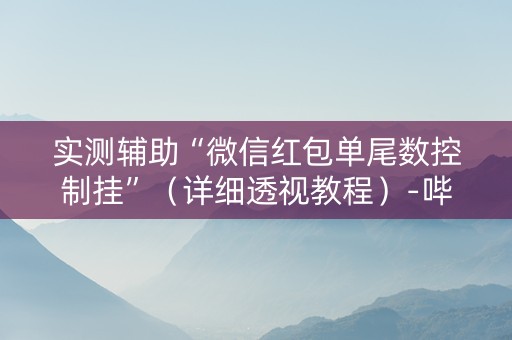 实测辅助“微信红包单尾数控制挂”（详细透视教程）-哔哩哔哩