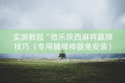 实测教程“微乐陕西麻将赢牌技巧（专用辅牌神器免安装）