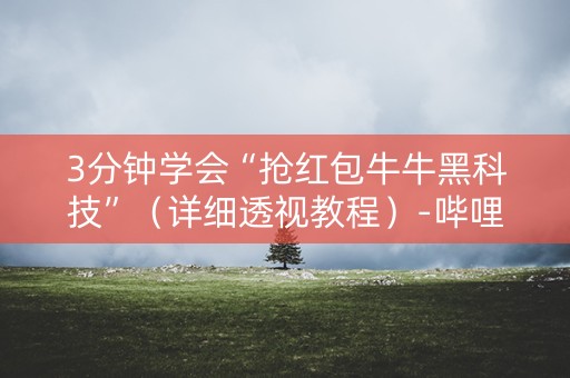 3分钟学会“抢红包牛牛黑科技”（详细透视教程）-哔哩哔哩