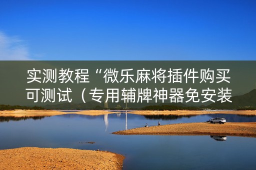 实测教程“微乐麻将插件购买可测试（专用辅牌神器免安装）