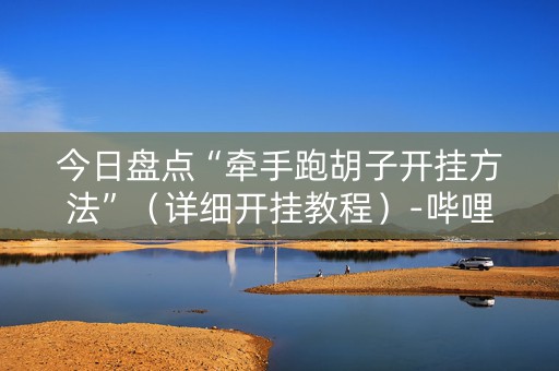 今日盘点“牵手跑胡子开挂方法”（详细开挂教程）-哔哩哔哩