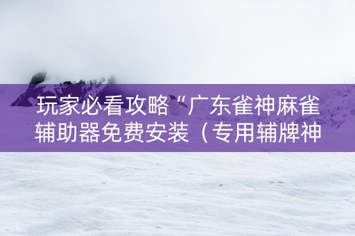 玩家必看攻略“广东雀神麻雀辅助器免费安装（专用辅牌神器免安装）