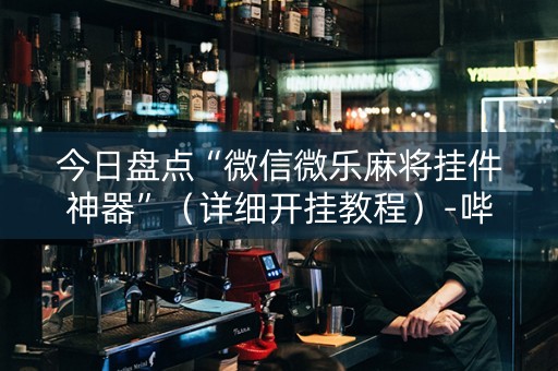 今日盘点“微信微乐麻将挂件神器”（详细开挂教程）-哔哩哔哩