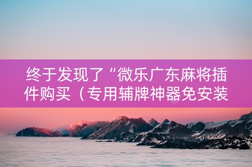 终于发现了“微乐广东麻将插件购买（专用辅牌神器免安装）