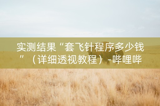 实测结果“套飞针程序多少钱”（详细透视教程）-哔哩哔哩