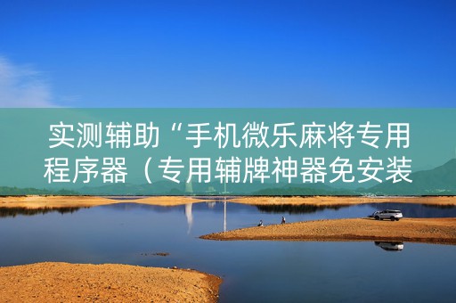 实测辅助“手机微乐麻将专用程序器（专用辅牌神器免安装）