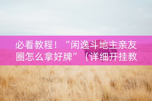 必看教程！“闲逸斗地主亲友圈怎么拿好牌”（详细开挂教程）-哔哩哔哩