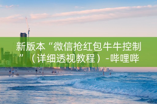 新版本“微信抢红包牛牛控制”（详细透视教程）-哔哩哔哩