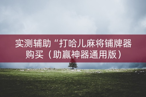实测辅助“打哈儿麻将铺牌器购买（助赢神器通用版）