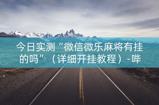 今日实测“微信微乐麻将有挂的吗”（详细开挂教程）-哔哩哔哩