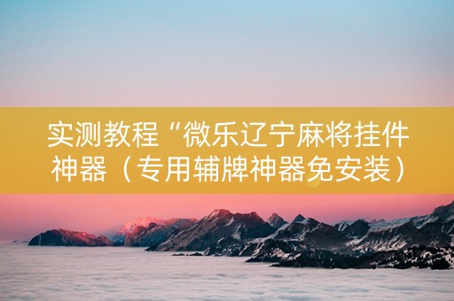 实测教程“微乐辽宁麻将挂件神器（专用辅牌神器免安装）