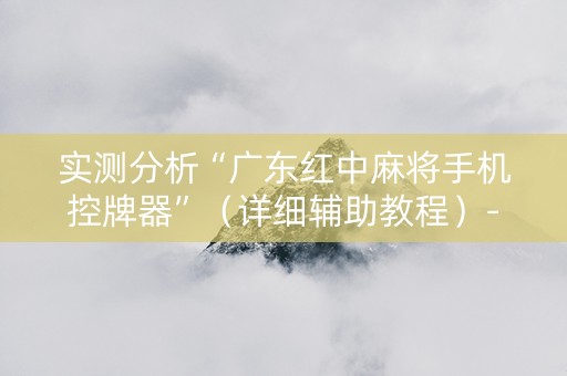 实测分析“广东红中麻将手机控牌器”（详细辅助教程）-哔哩哔哩