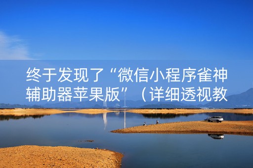 终于发现了“微信小程序雀神辅助器苹果版”（详细透视教程）-哔哩哔哩