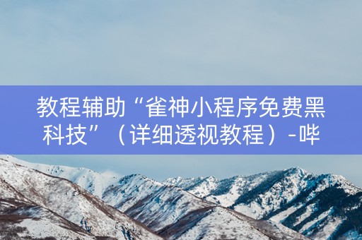 教程辅助“雀神小程序免费黑科技”（详细透视教程）-哔哩哔哩