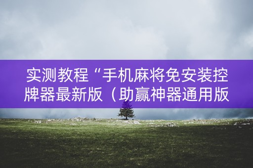 实测教程“手机麻将免安装控牌器最新版（助赢神器通用版）