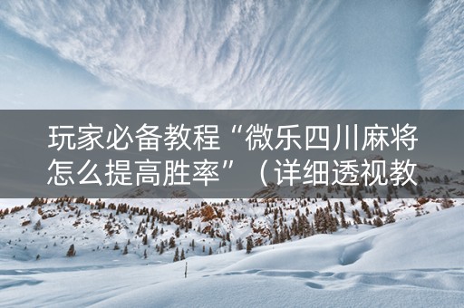 玩家必备教程“微乐四川麻将怎么提高胜率”（详细透视教程）-哔哩哔哩