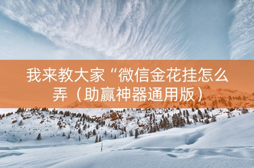 我来教大家“微信金花挂怎么弄（助赢神器通用版）