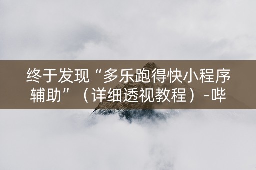 终于发现“多乐跑得快小程序辅助”（详细透视教程）-哔哩哔哩