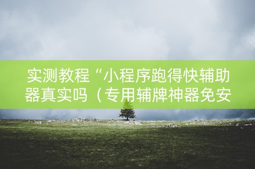 实测教程“小程序跑得快辅助器真实吗（专用辅牌神器免安装）