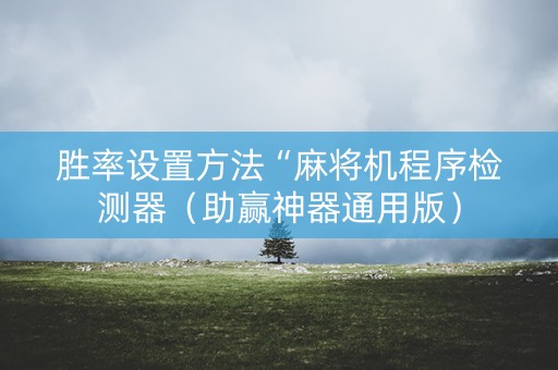 胜率设置方法“麻将机程序检测器（助赢神器通用版）