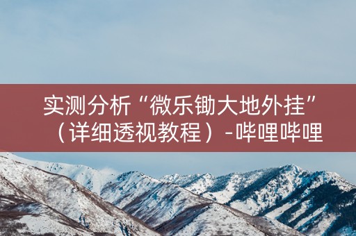 实测分析“微乐锄大地外挂”（详细透视教程）-哔哩哔哩