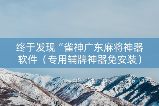 终于发现“雀神广东麻将神器软件（专用辅牌神器免安装）