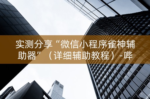 实测分享“微信小程序雀神辅助器”（详细辅助教程）-哔哩哔哩