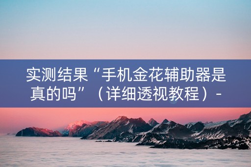 实测结果“手机金花辅助器是真的吗”（详细透视教程）-哔哩哔哩