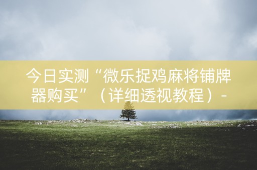 今日实测“微乐捉鸡麻将铺牌器购买”（详细透视教程）-哔哩哔哩