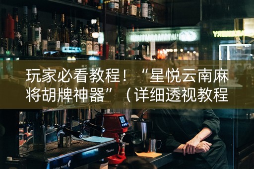 玩家必看教程！“星悦云南麻将胡牌神器”（详细透视教程）-哔哩哔哩