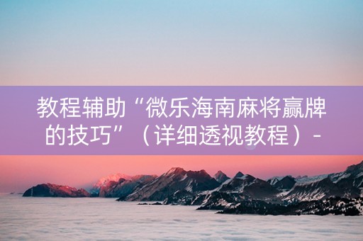 教程辅助“微乐海南麻将赢牌的技巧”（详细透视教程）-哔哩哔哩
