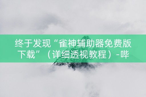 终于发现“雀神辅助器免费版下载”（详细透视教程）-哔哩哔哩