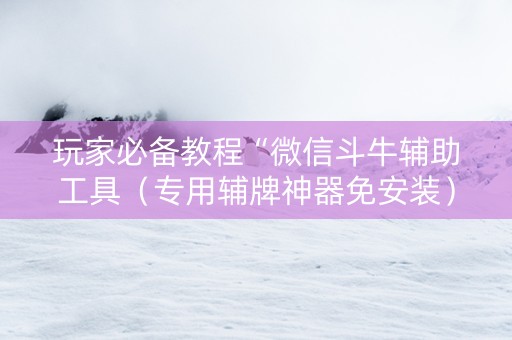 玩家必备教程“微信斗牛辅助工具（专用辅牌神器免安装）
