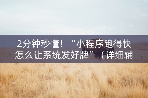 2分钟秒懂！“小程序跑得快怎么让系统发好牌”（详细辅助教程）-哔哩哔哩