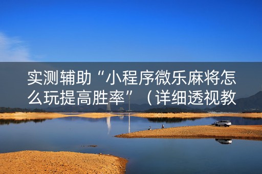 实测辅助“小程序微乐麻将怎么玩提高胜率”（详细透视教程）-哔哩哔哩