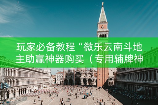 玩家必备教程“微乐云南斗地主助赢神器购买（专用辅牌神器免安装）