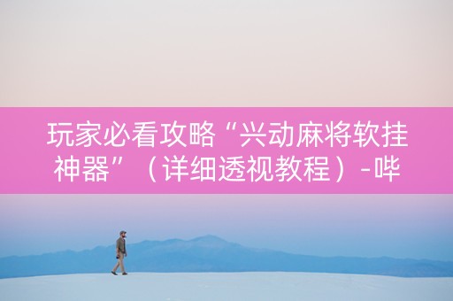 玩家必看攻略“兴动麻将软挂神器”（详细透视教程）-哔哩哔哩