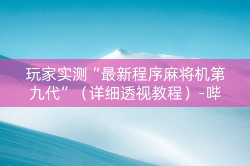玩家实测“最新程序麻将机第九代”（详细透视教程）-哔哩哔哩