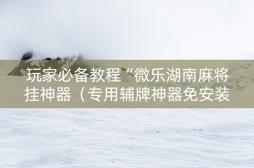 玩家必备教程“微乐湖南麻将挂神器（专用辅牌神器免安装）