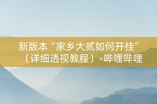 新版本“家乡大贰如何开挂”（详细透视教程）-哔哩哔哩