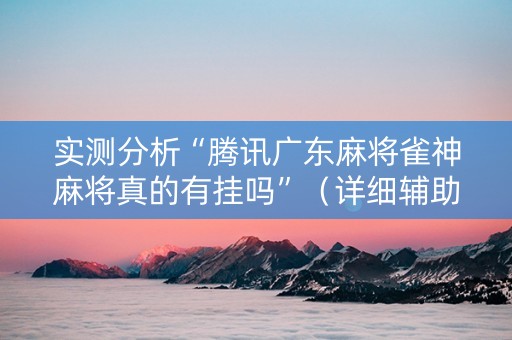 实测分析“腾讯广东麻将雀神麻将真的有挂吗”（详细辅助教程）-哔哩哔哩