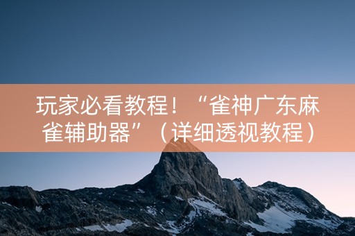 玩家必看教程！“雀神广东麻雀辅助器”（详细透视教程）-哔哩哔哩