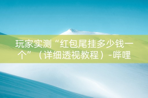 玩家实测“红包尾挂多少钱一个”（详细透视教程）-哔哩哔哩